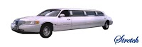 Step in Style Limousines 1060701 Image 2
